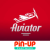 Pin Up Aviator | Tips & Tricks And Get Cashback Rewards