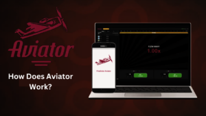 How Does Aviator Work?