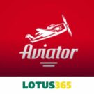 Lotus365 Aviator Review: Honest and Unbiased Opinions (2024)